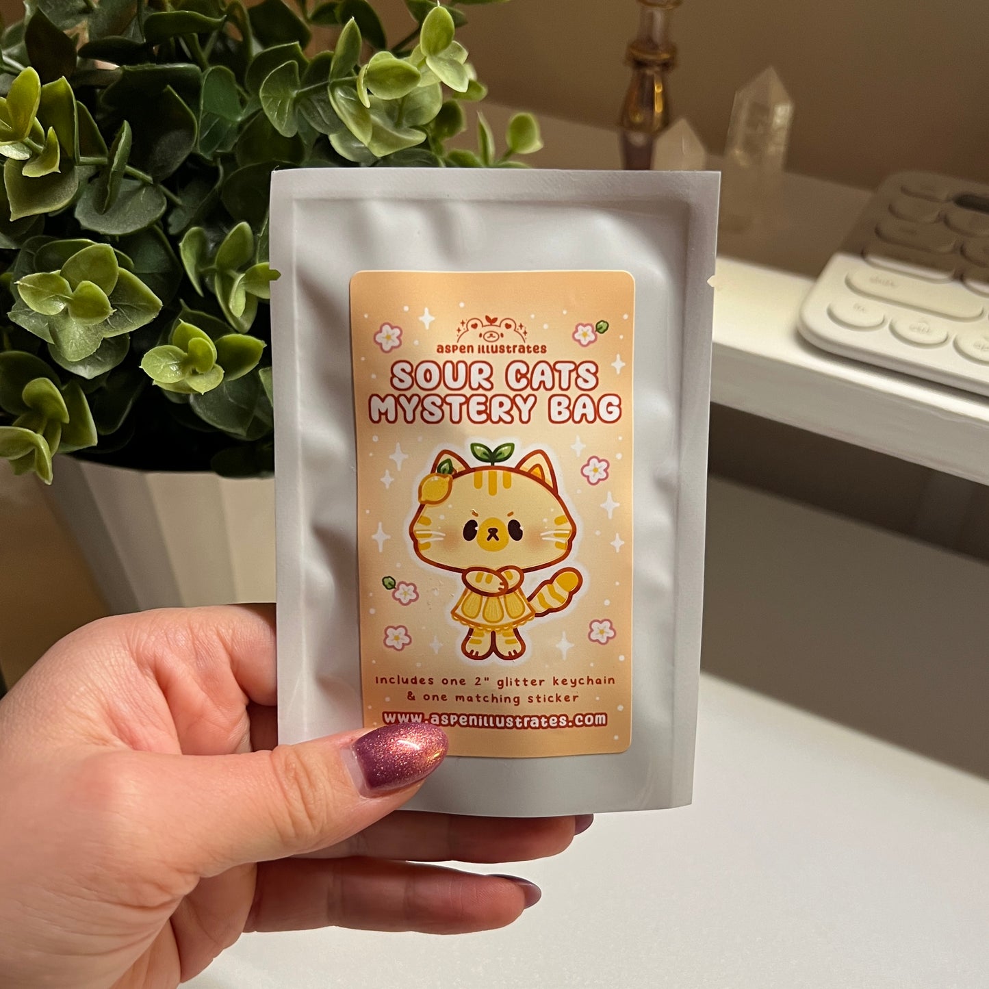Sour Cats Mystery Bag - Keychain & Sticker