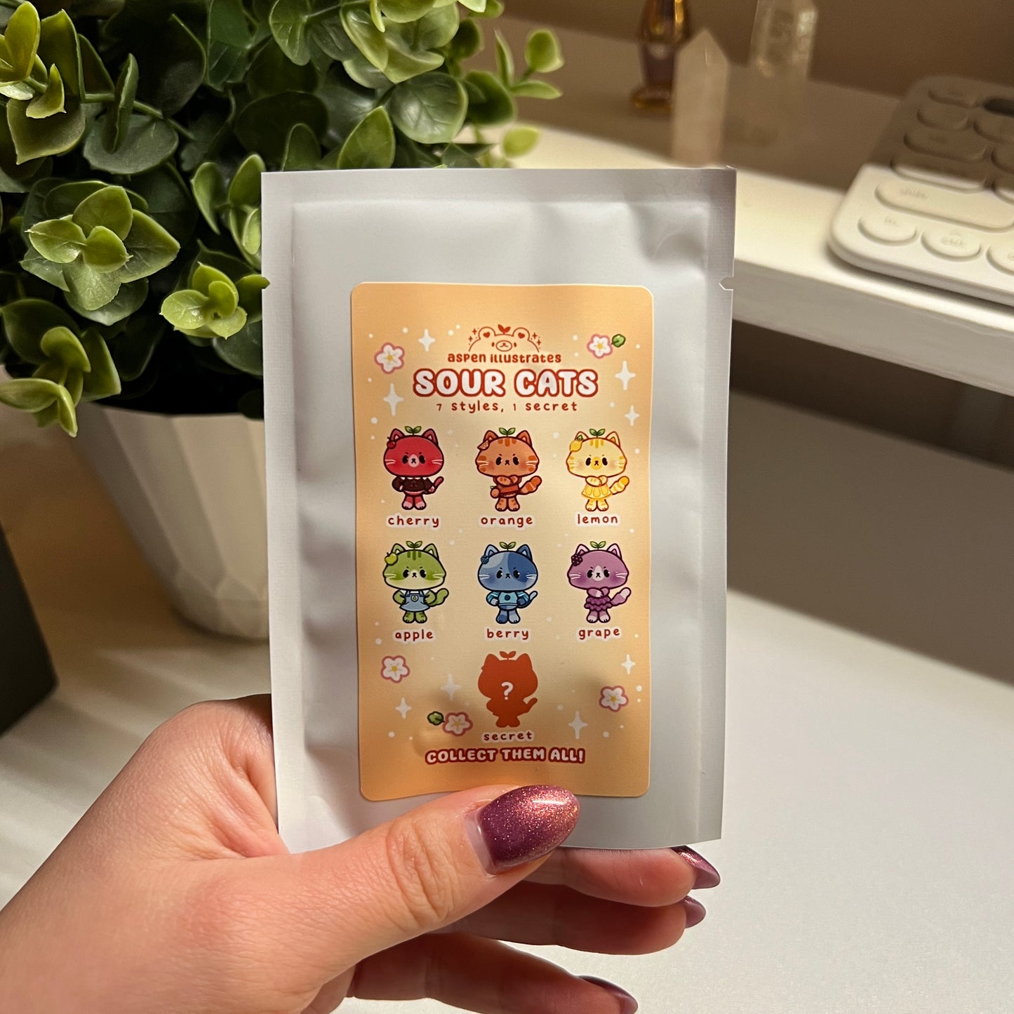Sour Cats Mystery Bag - Keychain & Sticker